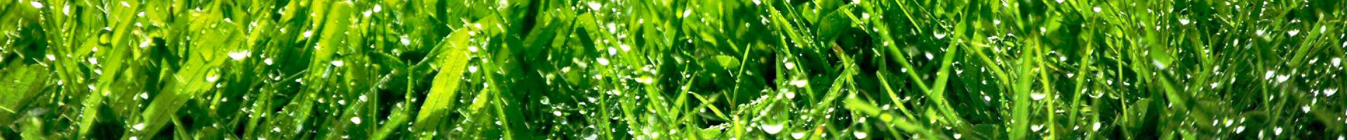 Nice image representing summer